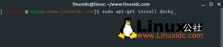 最受歡迎的5個Ubuntu Dock及其衍生產(chǎn)品