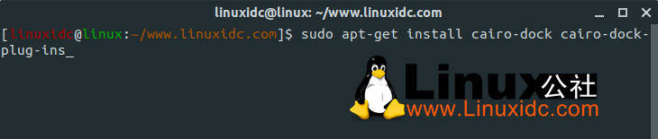 最受歡迎的5個Ubuntu Dock及其衍生產(chǎn)品