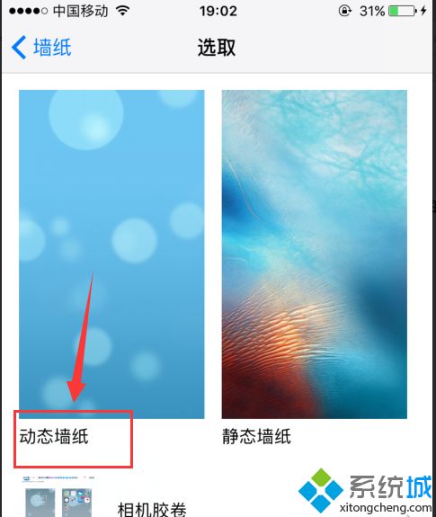 蘋果動態(tài)壁紙怎么沒有聲音 蘋果動態(tài)壁紙為什么沒有聲音