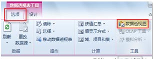 excel數(shù)據(jù)透視功能 使用Excel中“數(shù)據(jù)透視圖”功能顯示可視化圖形的方法