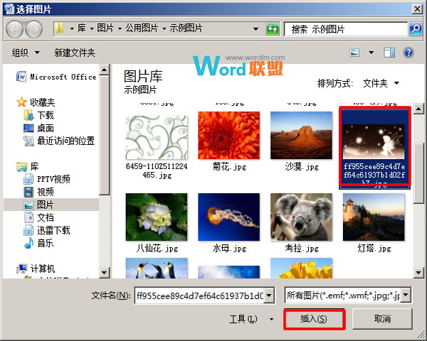 word藝術(shù)字填充效果在哪里 在Word2007中制作圖片填充的藝術(shù)字