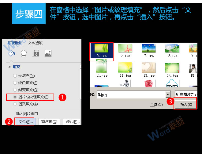 特定區(qū)域背景填充 特定區(qū)域背景填充：易雪龍玩Word第三十四招