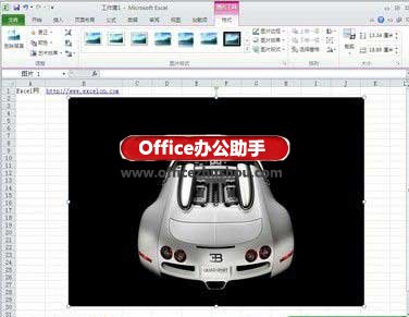 excel如何去除圖片背景 Excel2010中去除圖片背景的方法