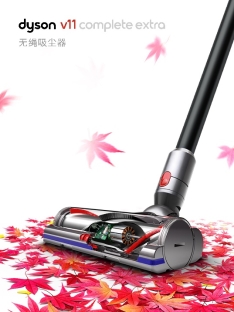 戴森微信小程序上線一周年，讓“不可復(fù)制”深入人心