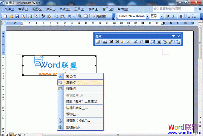 Word文檔里的圖片如何導出 在Word2003文檔里如何圖片導出