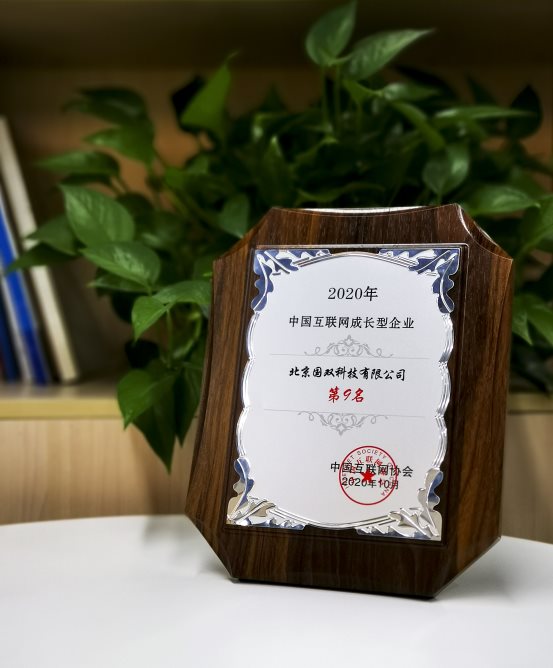 國雙上榜2020年中國互聯(lián)網(wǎng)成長型企業(yè)20強 背后產(chǎn)業(yè)格局悄然生變
