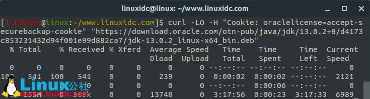 如何在Ubuntu 18.04/18.10和Debian 9上安裝Oracle Java 13