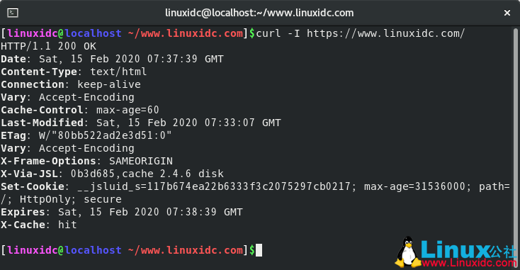 如何在CentOS 8上安裝和使用curl