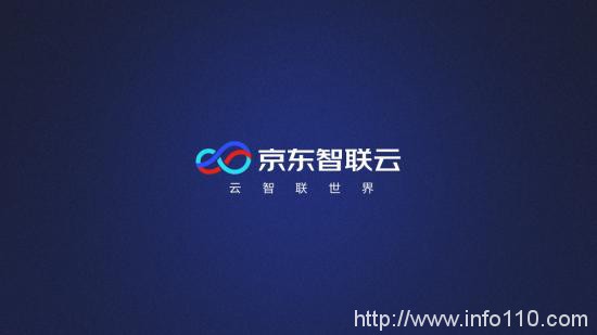 助推實(shí)體經(jīng)濟(jì)，護(hù)航11.11大促，京東技術(shù)基石初長(zhǎng)成