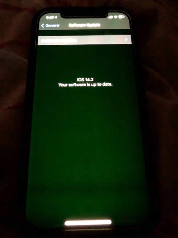 蘋果承認 iPhone 12 系列部分機型存 “綠屏”等問題，正進行調(diào)查