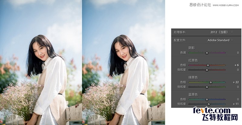 PS調(diào)出外景人像照片甜美的小清新效果