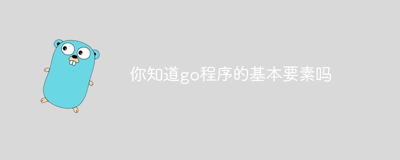 你知道go程序的基本要素嗎