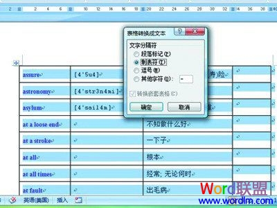word寫入字符 Word2007表格的空白單元格批量寫入字符