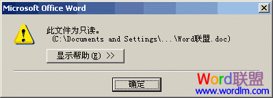 word打開文檔 Word2003基礎(chǔ)教程4 - 以只讀方式打開文檔