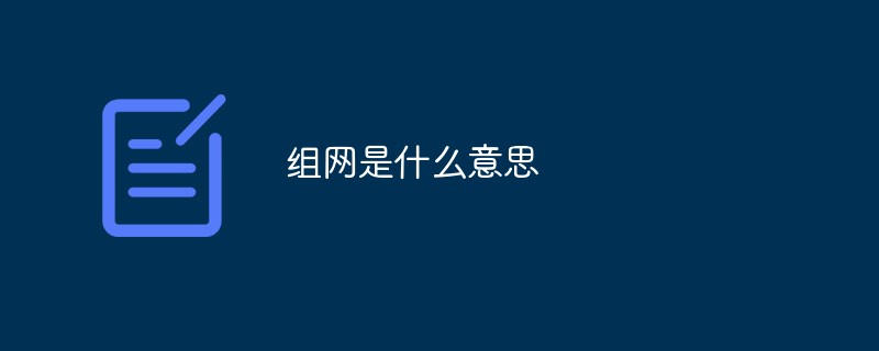 組網(wǎng)是什么意思