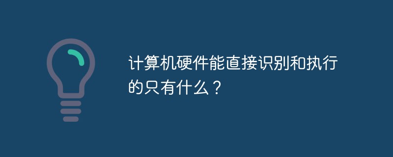 計算機硬件能直接識別和執(zhí)行的只有什么？