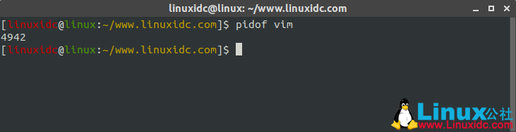 Linux常用命令 pidof 使用簡述