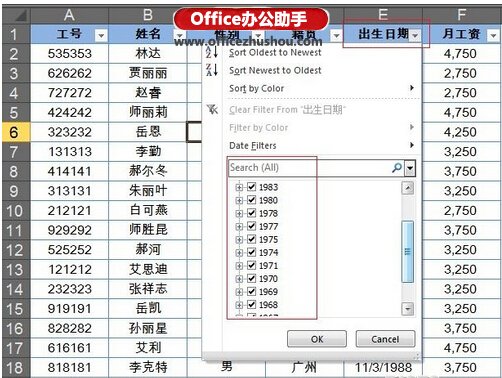 excel2013篩選 Excel2013中的篩選的使用方法