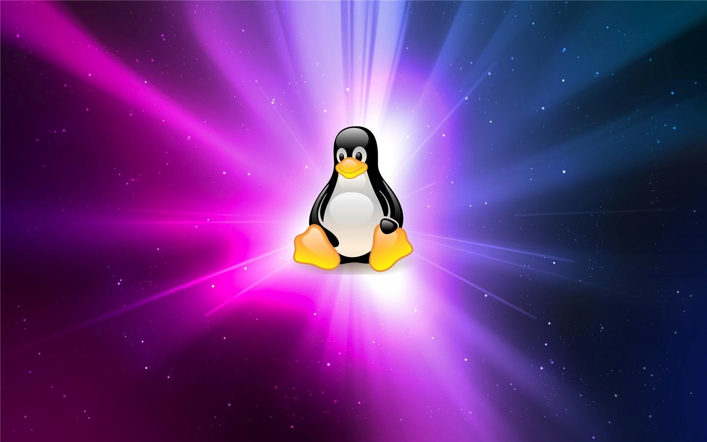 Ubuntu 發(fā)現(xiàn)內核回歸系統(tǒng)崩潰漏洞，需盡快升級