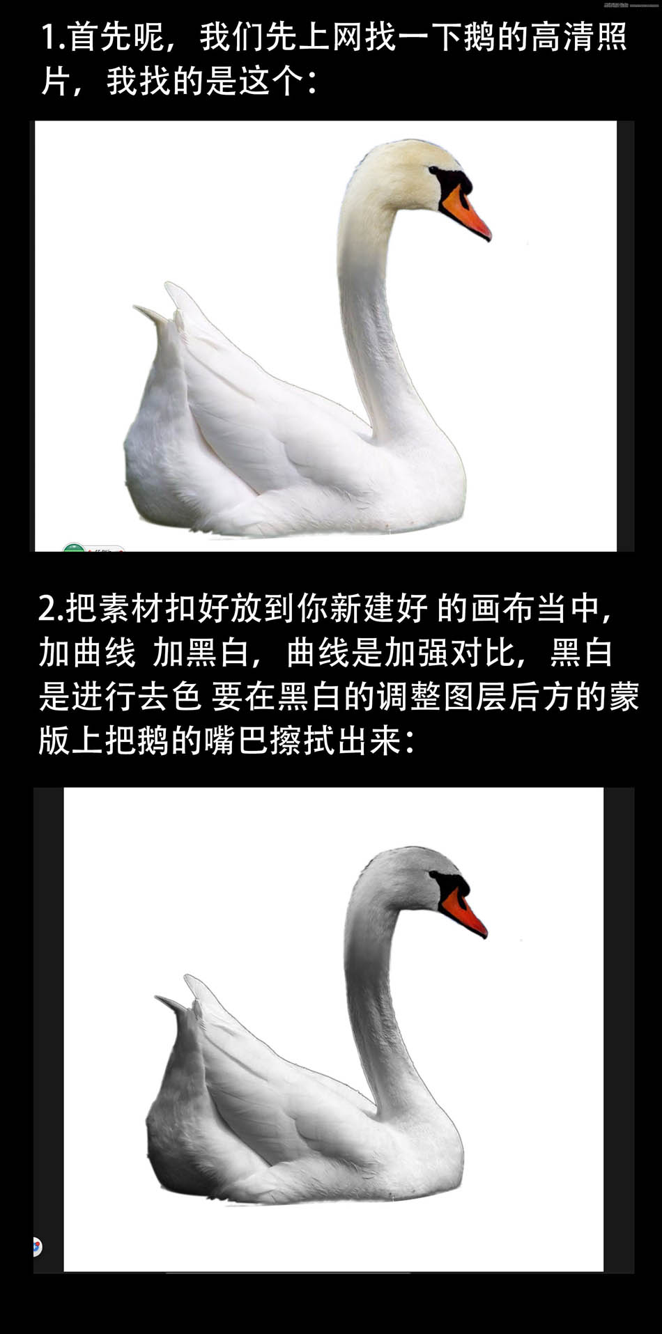 ps設(shè)計(jì)超酷的黑天鵝海報(bào)