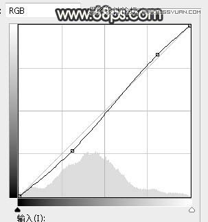PS調(diào)出樹下美女照片夢幻逆光效果