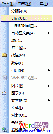word添加頁碼 Word2003如何添加頁碼