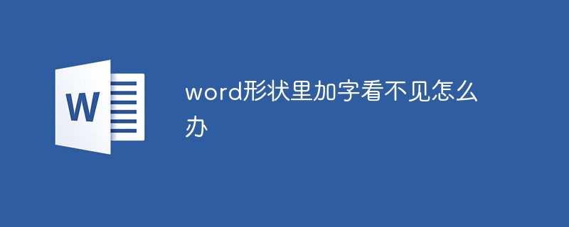word形狀里加字看不見怎么辦