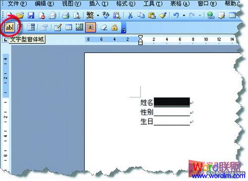 Word文檔受保護(hù) 巧用窗體域 讓W(xué)ord文檔受保護(hù)不被刪除