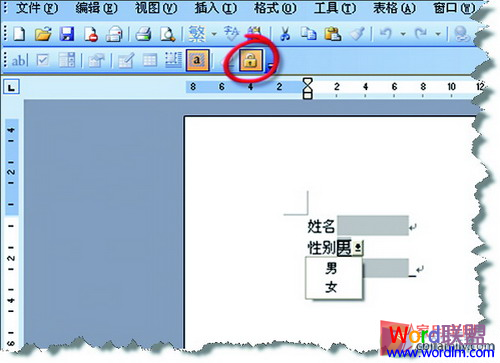 Word文檔受保護(hù) 巧用窗體域 讓W(xué)ord文檔受保護(hù)不被刪除