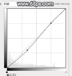 ps給森林照片添加唯美逆光效果