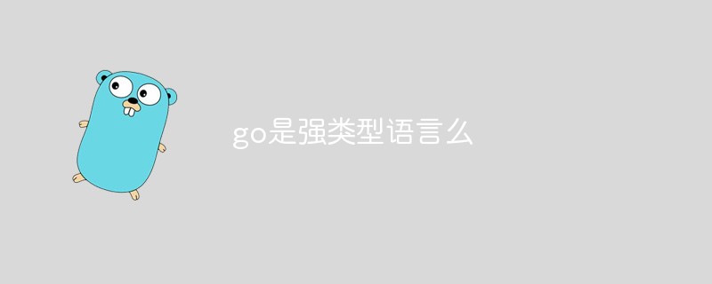 go是強類型語言么