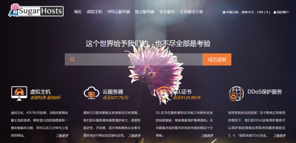 美國虛擬主機到底如何？來聽A哥跟你聊