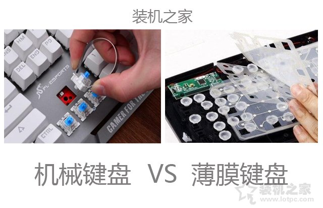 機(jī)械鍵盤怎么選？這篇文章讓你秒懂機(jī)械鍵盤和普通鍵盤的區(qū)別