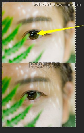 PS加LR軟件為人像照片調(diào)出日系清新效果