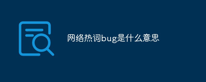 網絡熱詞bug是什么意思