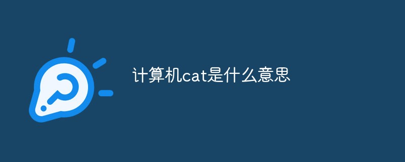 計(jì)算機(jī)cat是什么意思
