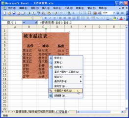 excel工作表圖片圖片工作表背景圖片的妙用