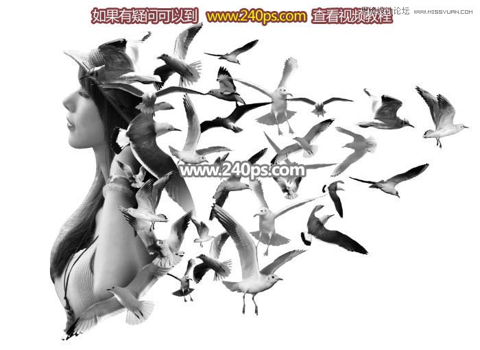 PS制作美女人像被鳥群打散特效
