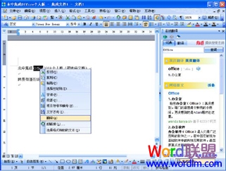 永中集成Office 個人版 永中集成Office 2009 SP1個人版