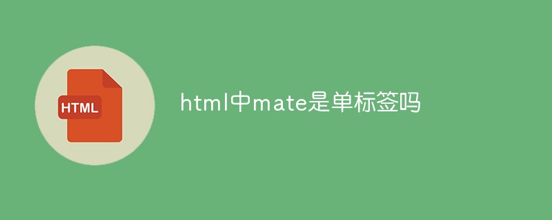 html中mate是單標(biāo)簽嗎