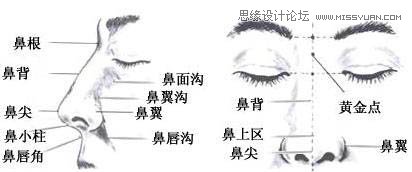 用PS鼠繪唯美的金發(fā)女模特教程