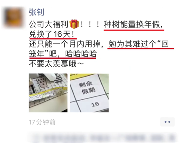小伙因手機(jī)種樹換了16天年假
