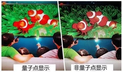 2021年如何選購電視？牢記這幾個(gè)要點(diǎn)參數(shù)，保證不出錯(cuò)