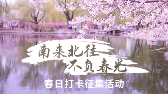 春日打卡拍攝攻略：如何讓你拍攝的花兒脫穎而出？