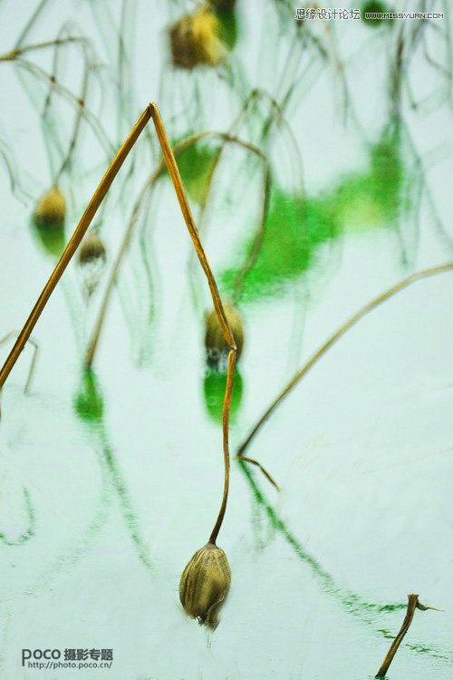 PS設(shè)計(jì)中國(guó)風(fēng)意境的水墨畫(huà)效果圖