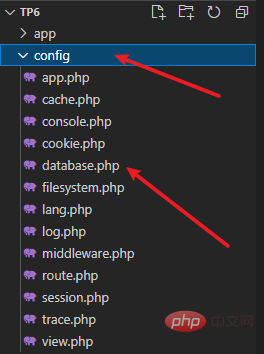 ThinkPHP6中env環(huán)境變量的使用
