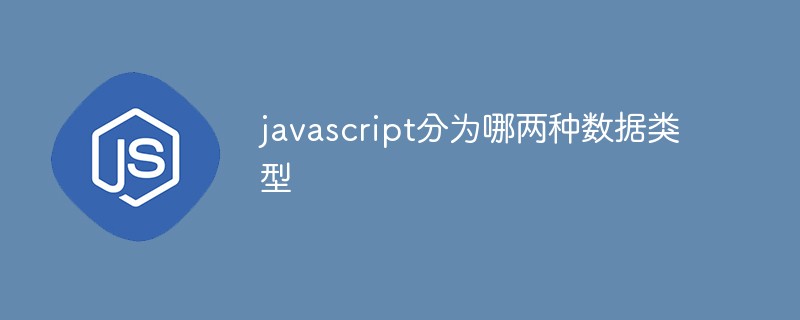javascript分為哪兩種數(shù)據(jù)類型