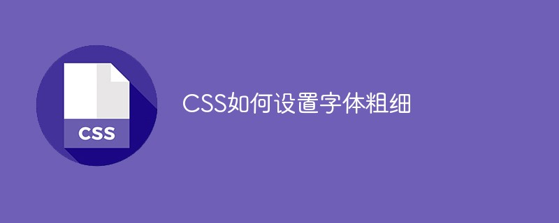 CSS如何設(shè)置字體粗細