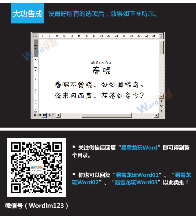 Word標(biāo)注拼音 詳解Word2003如何添加拼音標(biāo)注