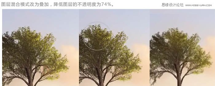 ps合成懸浮在空中的小島上的小女孩